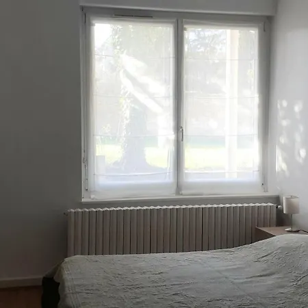 Quiet And Spacious Near Metz Center Apartman